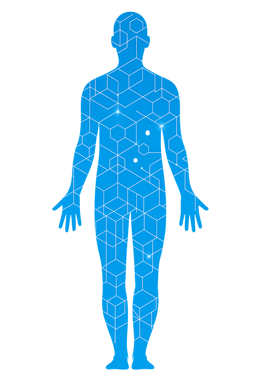 Hamaria Club wellness services overview featuring longevity technology, spa therapies, aesthetics treatments, and advanced diagnostics